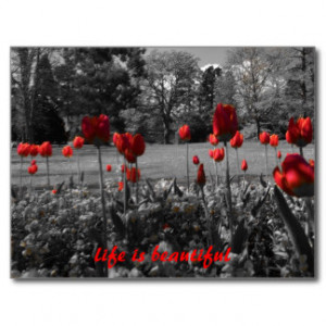 Tulips With Quotes And Sayings Calendars From Zazzle