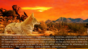 too short while for witnessing all the marvels of this world