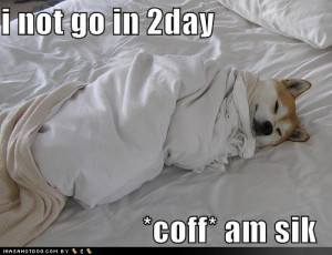 funny-dog-pictures-sick-in-bed-cough-8x6