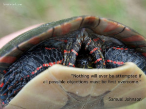 all possible objections must be first overcome.