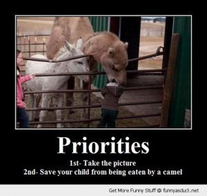 Funny #2 Priorities Funny #3 Priorities Funny #4 Priorities Funny ...