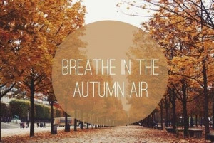 fall season quotes