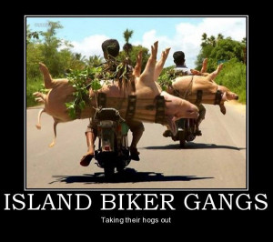 view full size more island biker gangs funny motivational poster
