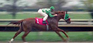 Janice L. Blake at Philly Park On Lead