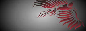redblack-phoenix-bird-black-fantasy-firebird-grey-phoenix-red-rising ...