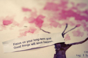 Focus on your long term goal