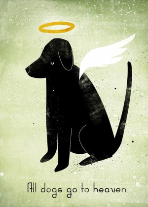 Search results for dogs go to heaven quote beautiful love dogs