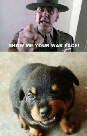 War face! Funny rottweiler puppy.