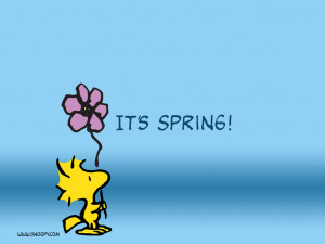Charlie Brown Quotes HD Wallpaper 8