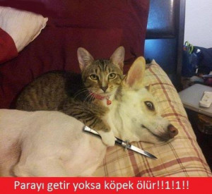 Sosyal medyanın komik caps-leri