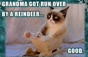 Very Grumpy Cat Christmas Meme Roundup