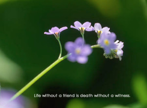 Life And Death Quotes In Hindi
