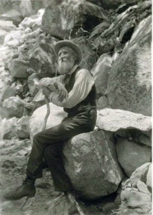 Text: Four well-known quotes from the prose of John Muir: