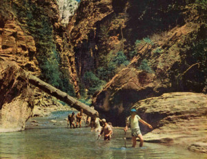 hippie vintage 1950s 50s nature river Woods desert mountain ...