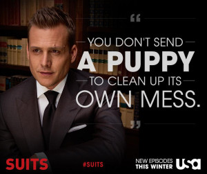 View more photos and videos