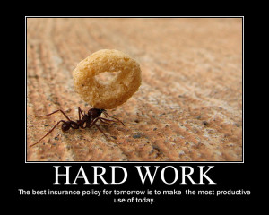 Hard Work Quote Ants
