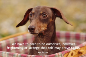 ... frightening or strange that self may prove to be. - Mary Sarton