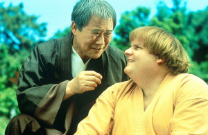 Beverly Hills Ninja...