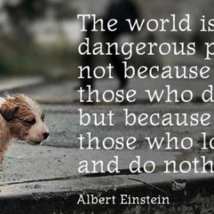 The-world-is-a-dangerous-place-not-because-of-those-who-do-evil-but ...