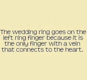 Pinned by Lyssa! Seitz