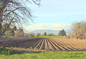 Agriculture quotes wallpapers