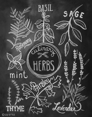 Kitchen Illustration Print- Culinary Herbs Print - Kitchen Art ...