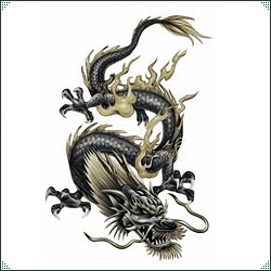 Chinese Astrology - Divination - The White Goddess