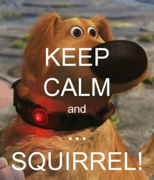 KEEP CALM and ... SQUIRREL! - KEEP