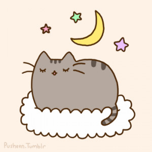 Pusheen - pusheen-the-cat Photo
