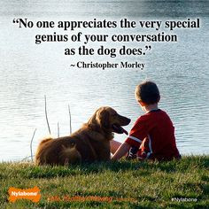 Dog Quotes Pinterest Quotes about dogs on pinterest