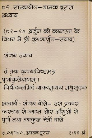 Bhagvad Gita Hindi Screenshot