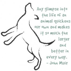 great quote by john muir