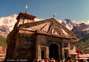 Funny Quotes Contact Dmca