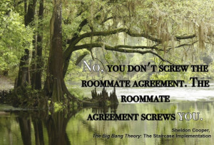 If Sheldon Cooper Quotes From The Big Bang Theory Were Inspirational ...