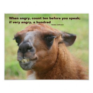 Llama Anger Quote Inspirational Poster