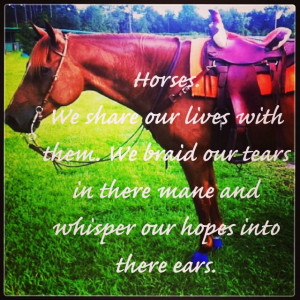Horse quotes