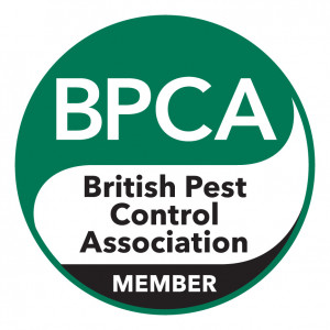 BPCA members pest control qualified pest control willenhall
