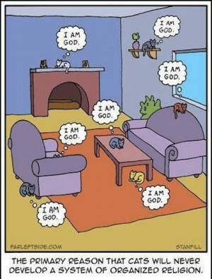 funny cats cartoon Hilarious Cartoon Joke LMAO!!