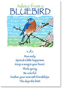 Birthday Card - Birthday Advice From A Bluebird | Your True Nature ...