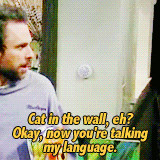 ... always sunny in philadelphia Charlie Day charlie kelly sunny quotes