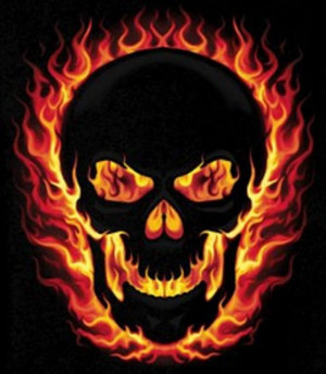 Airbrushed Flames Skulls Pic