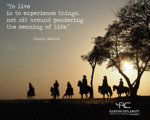 horse sunset quote 404415 jpg i