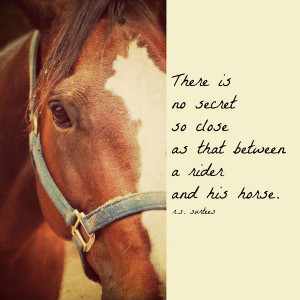 Horse Quote Canvas Print