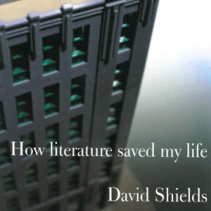 Five Amazing Quotes From “How Literature Saved My Life” by David ...