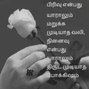 ... picture,picture,natural,comedy picture,tamil slogons,tamil quotes