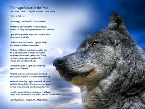 Inspirational Wolf Quotes Ruthlessly, the wolf is being