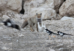 Νεότερη ανάρτηση Παλαιότερη Ανάρτηση ...