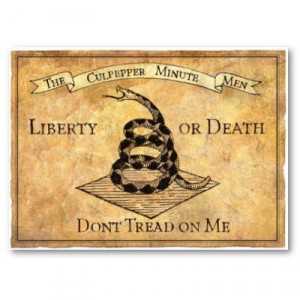 One of the Famous Flags that was Carried During the Revolutionary War ...