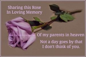 sharing this rose in loving memory of my parents in heaven not a day ...