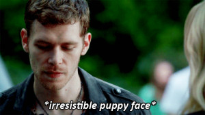 ... klaus mikaelson, puppy, sexy, smile, the originals, the vampires